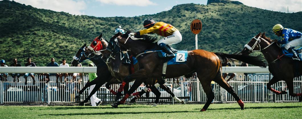 Lonmar bloodstock team, horse racing